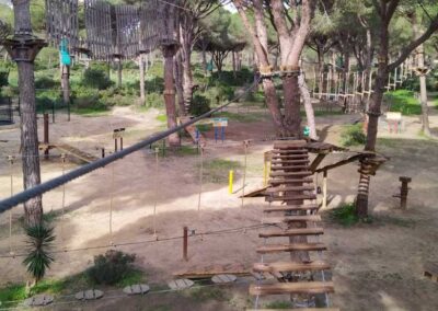 Inspección anual en parque de aventura en árboles en Conil de la Frontera (Andalucia)